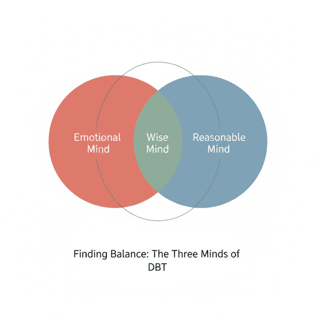 Wise Mind vs. Emotional Mind vs. Reasonable Mind Finding Balance in DBT