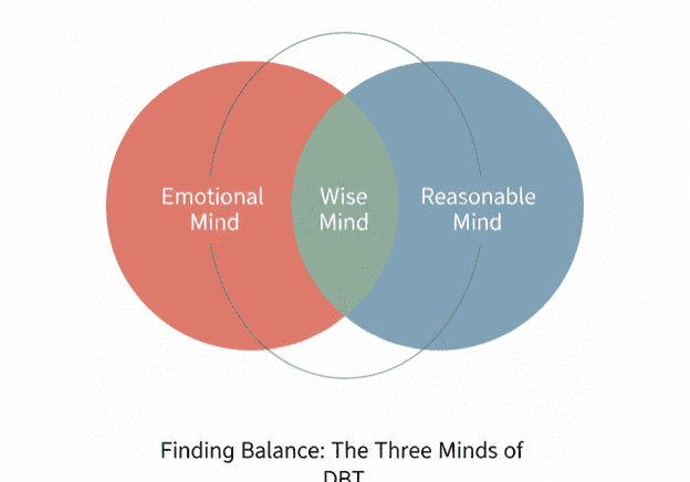 Wise Mind vs. Emotional Mind vs. Reasonable Mind Finding Balance in DBT